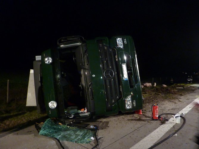 Verungl&uuml;ckt (Foto: BFW Nordhausen)