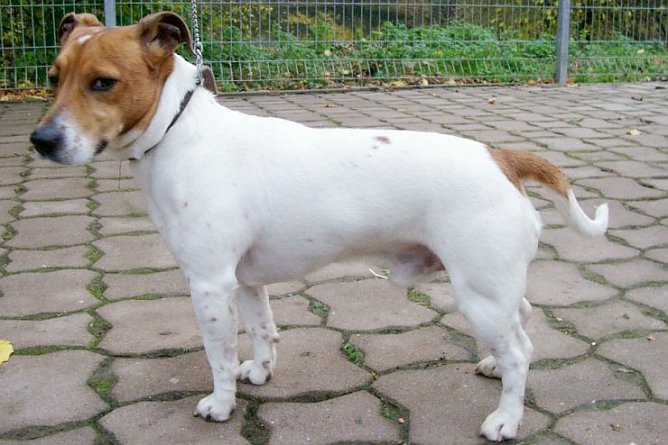 Gefunden und gerettet (Foto: nnz) Gefunden und gerettet (Foto: nnz)