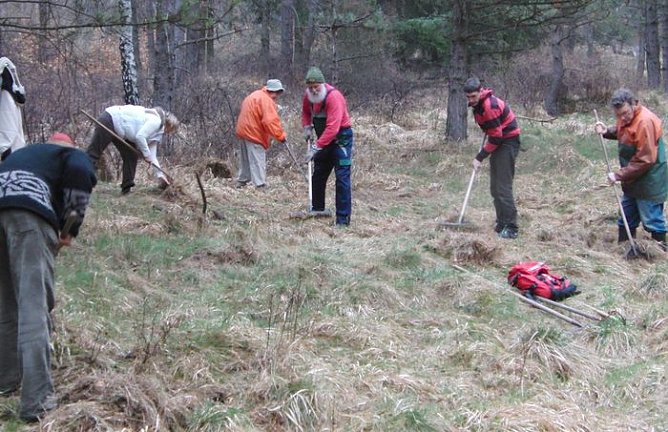 Durch Pflege erhalten (Foto: B. Schwarzberg)