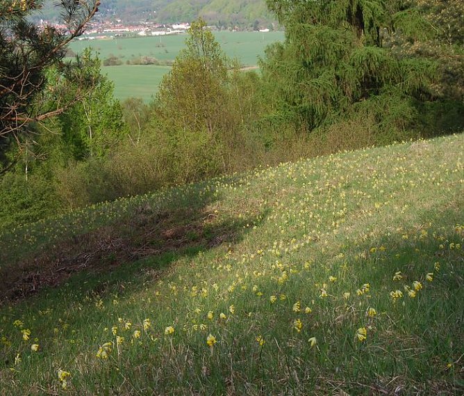 Arten erhalten (Foto: privat)