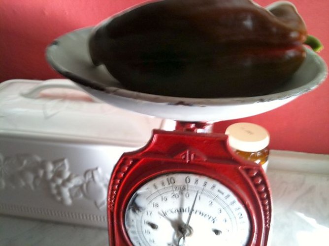 Gute Ernte (Foto: privat) Gute Ernte (Foto: privat)