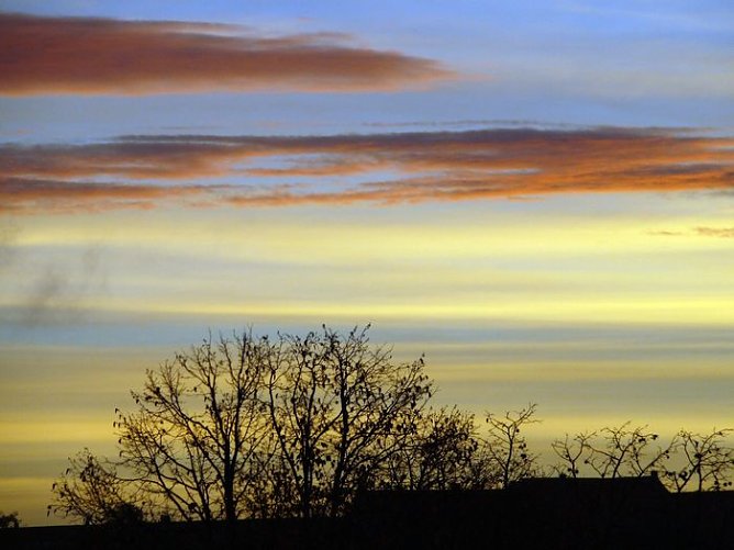 Aufgegangen (Foto: nnz) Aufgegangen (Foto: nnz)