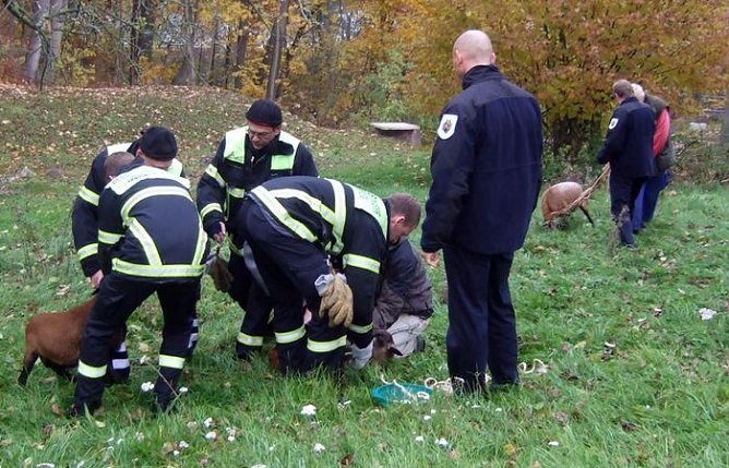 Eingefangen (Foto: privat)