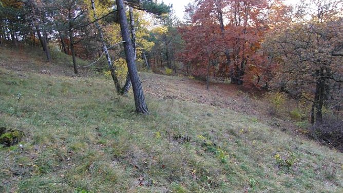 Nach dem Arbeitseinsatz (Foto: B. Schwarzberg) Nach dem Arbeitseinsatz (Foto: B. Schwarzberg)