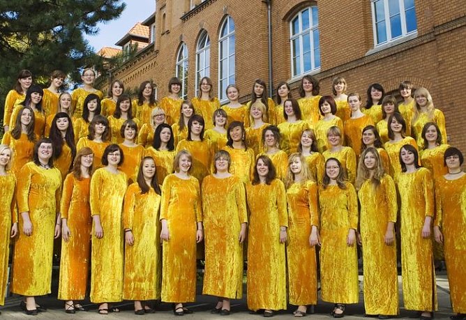 Chorensemble (Foto: privat) Chorensemble (Foto: privat)