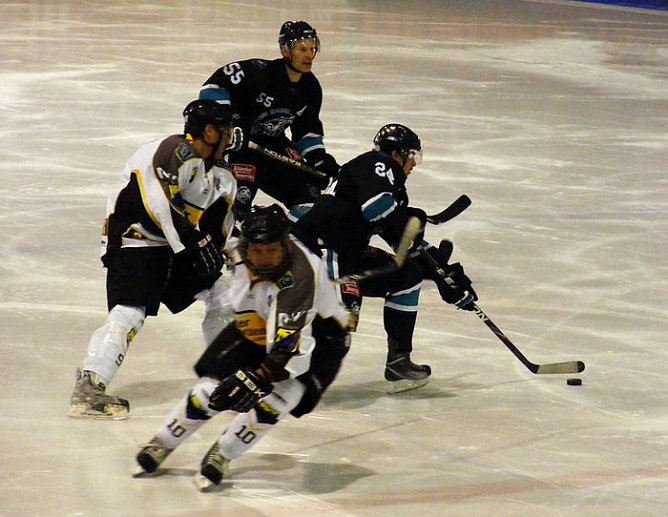 W&ouml;lfe siegen (Foto: R. Koch)