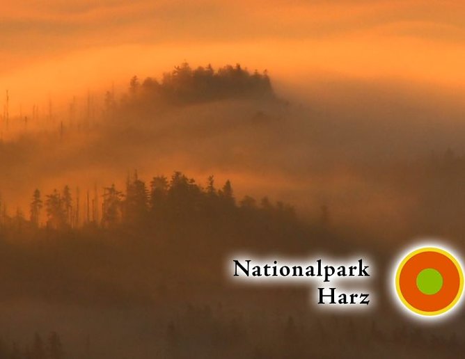 Morgendlicher Blick zum Brocken (Foto: movit GmbH)