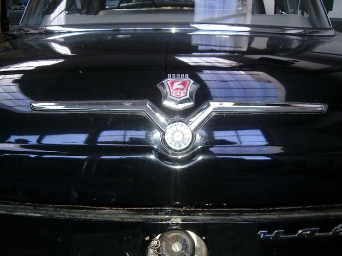 Die M&ouml;we fehlte noch (Foto: privat)