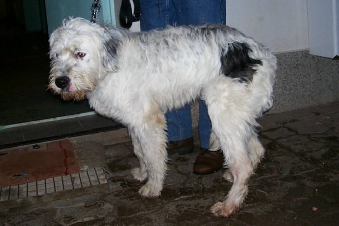 Gefunden (Foto: nnz) Gefunden (Foto: nnz)