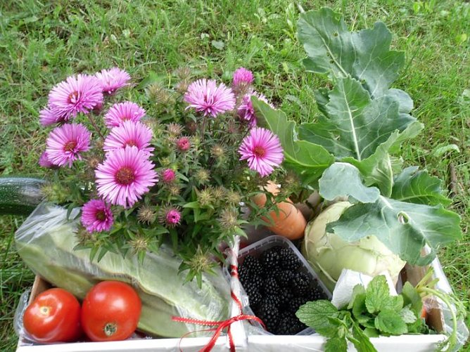 Garten-Arbeit (Foto: J. Piper) Garten-Arbeit (Foto: J. Piper)