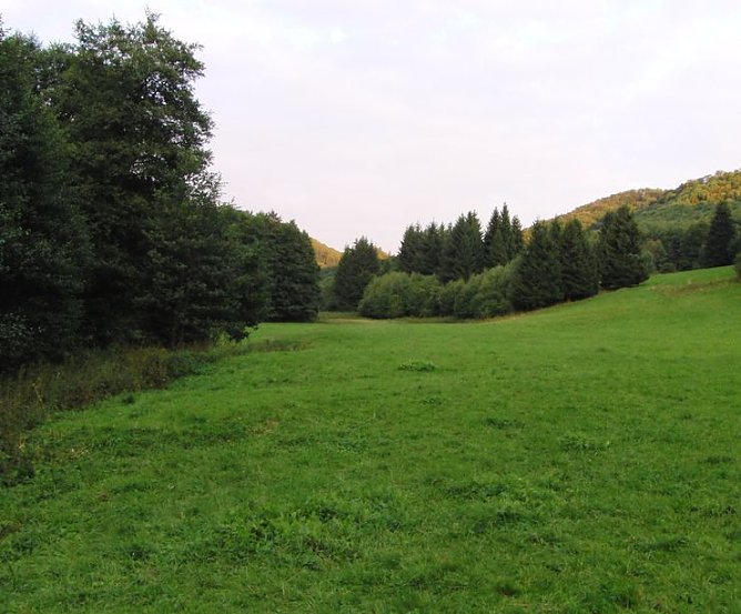 Brandesbachtal (Foto: B. Schwarzberg) Brandesbachtal (Foto: B. Schwarzberg)