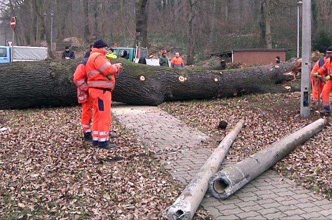 Umgestürzt (Foto: nnz) Umgestürzt (Foto: nnz)