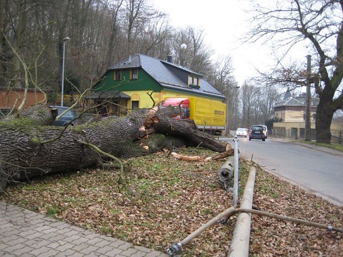 Umgestürzt (Foto: PSV) Umgestürzt (Foto: PSV)