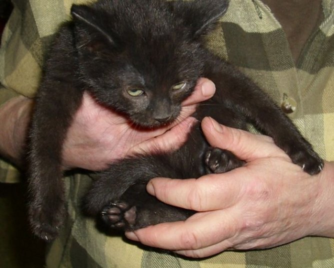 Das B-Team (Foto: C. Knust) Das B-Team (Foto: C. Knust)