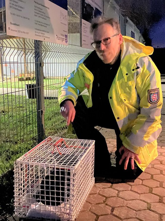 Bild: Die Beamten der Autobahnpolizei retteten am Wochenende ein kleines K&auml;tzchen auf der A38