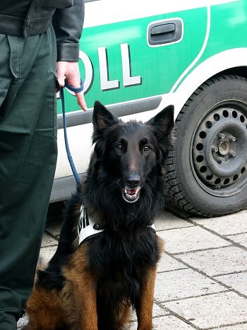Bild: Mitgemacht