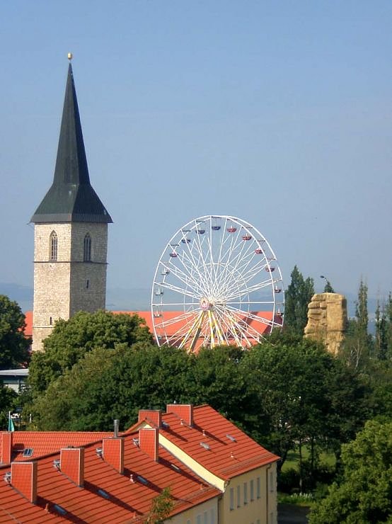 Bild: Hoch hinaus