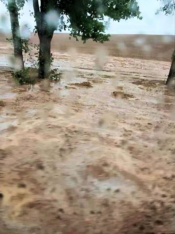 Bild: Starkregen in Nordhausen Ost