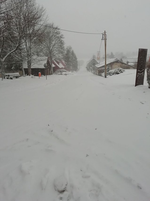 Bild: Winterlich Sonntagsgr&uuml;&szlig;e aus Sophienhof