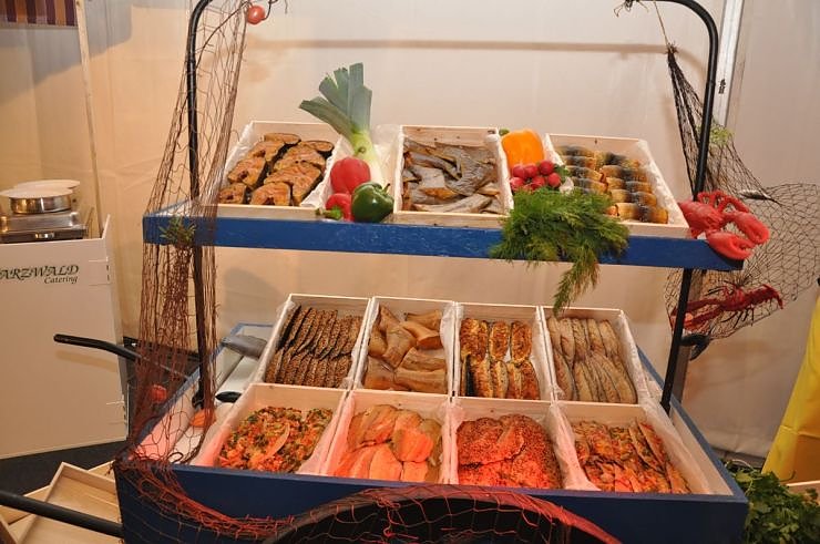 Fr&uuml;hlingsball 2011