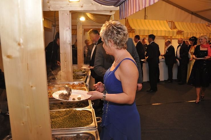 Fr&uuml;hlingsball 2011