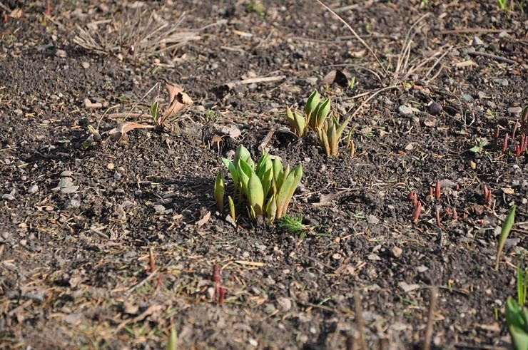 Sonntag auf den Petersberg