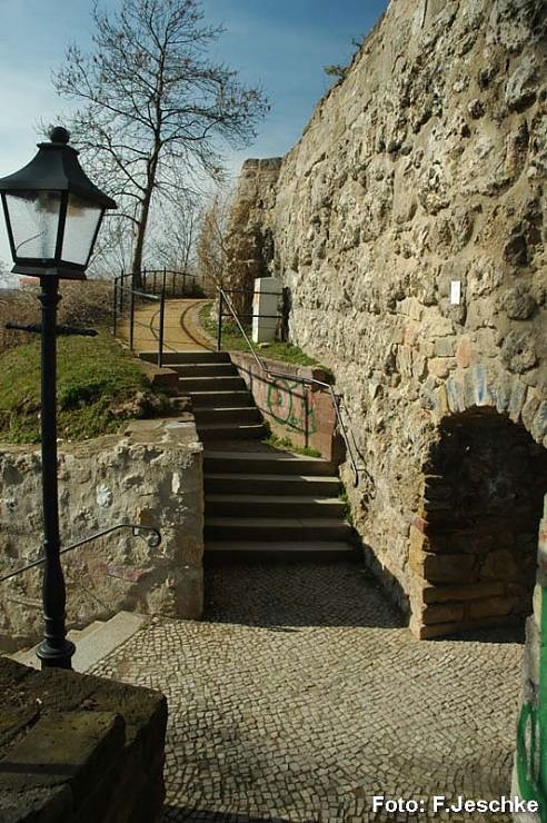 Der Fr&uuml;hling ist da