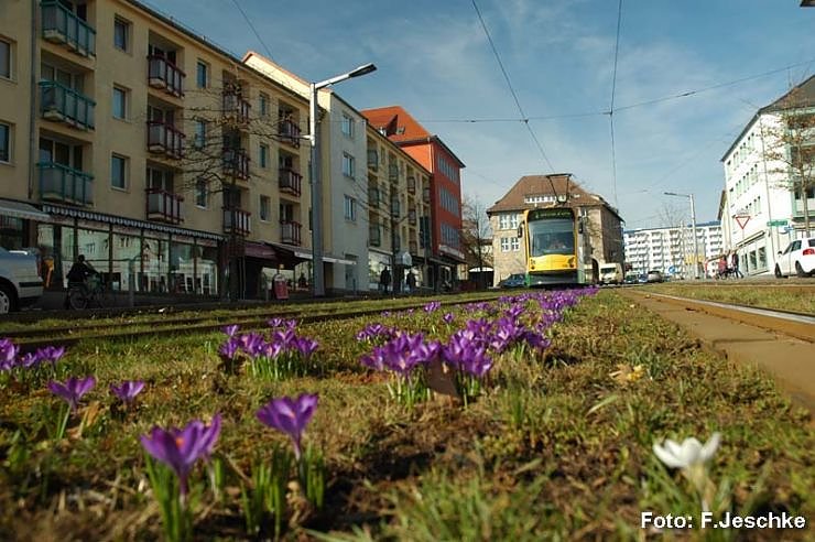 Der Fr&uuml;hling ist da