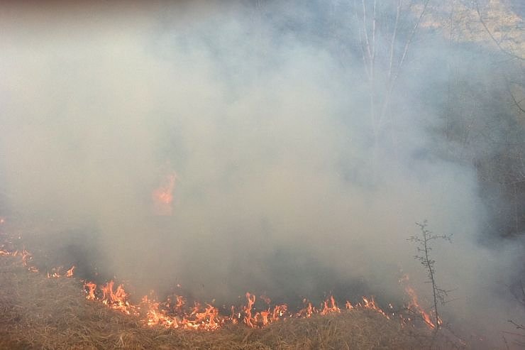 Fl&auml;chenbrand oberhalb von Niedersachswerfen