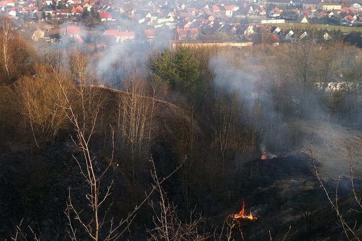 Fl&auml;chenbrand oberhalb von Niedersachswerfen