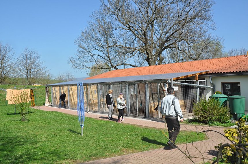 Fr&uuml;hlingsfest im Tierheim Nordhausen