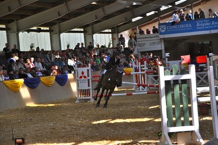 Reitturnier in Wollersleben