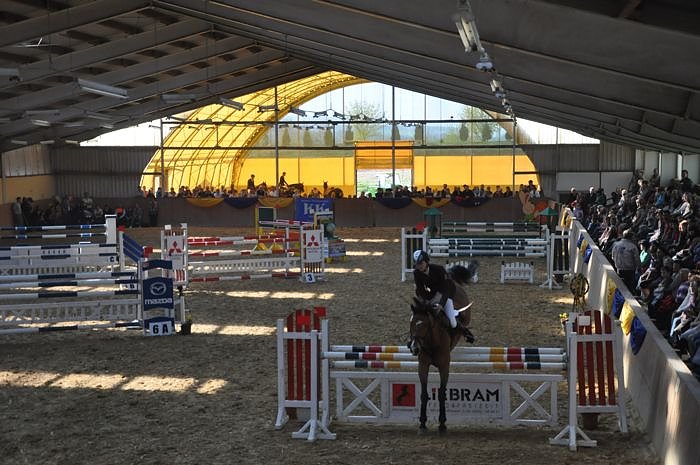 Reitturnier in Wollersleben