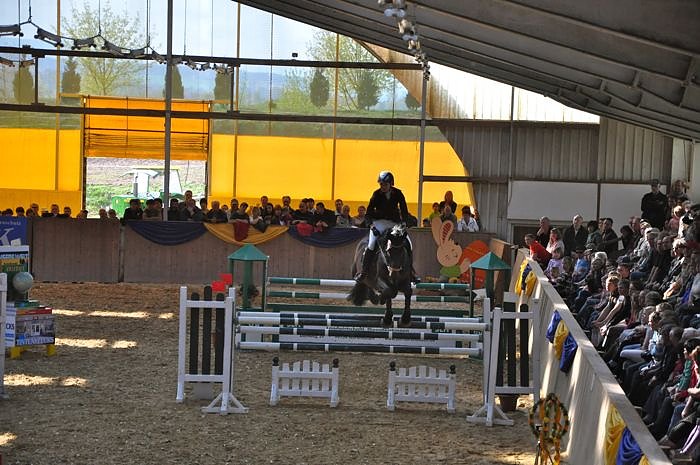 Reitturnier in Wollersleben