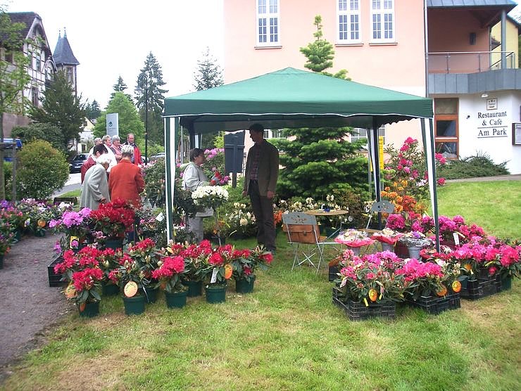 Fest in S&uuml;lzhayn