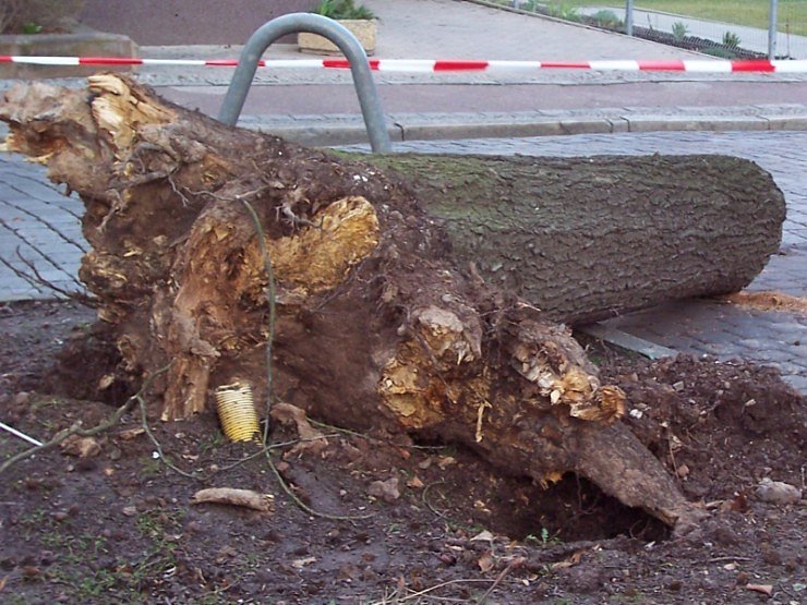 Sch&auml;den in der Promenade