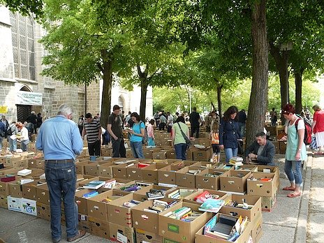 B&uuml;cher, B&uuml;cher und nochmals B&uuml;cher