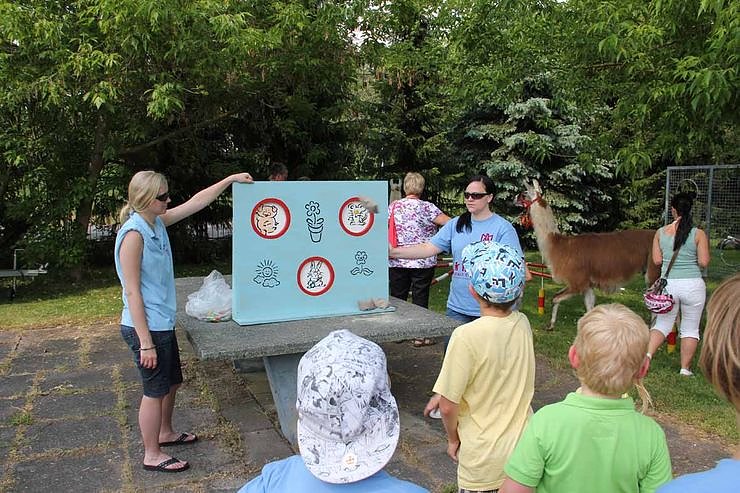 Buntes Treiben bei den Falken