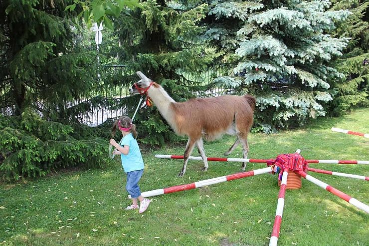 Buntes Treiben bei den Falken