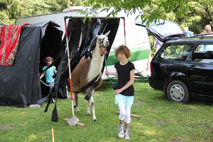 Buntes Treiben bei den Falken