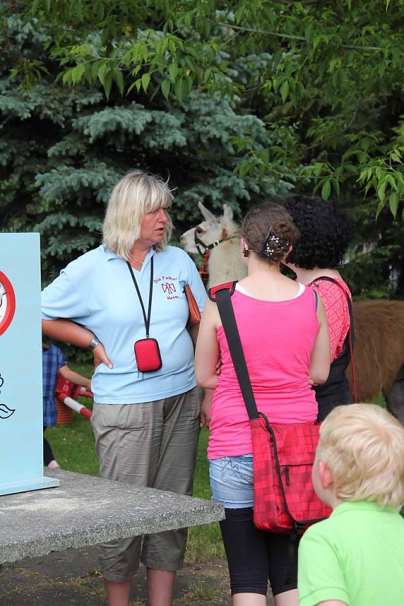 Buntes Treiben bei den Falken