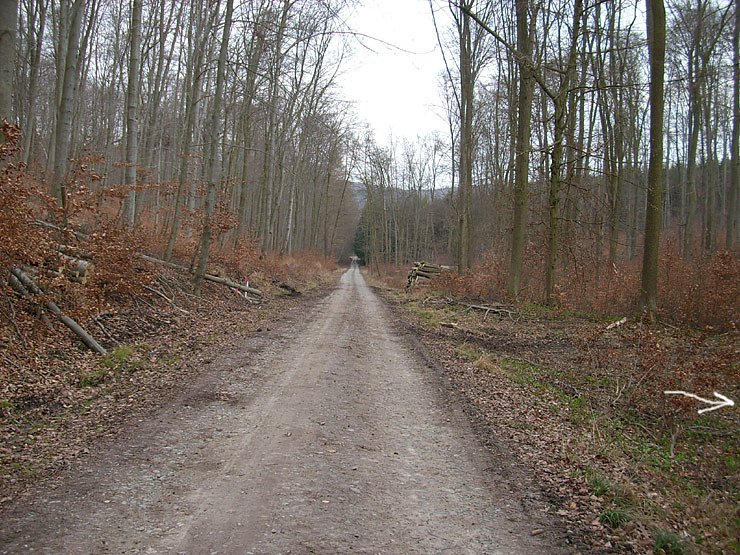 Weg zum Marienbrunnen