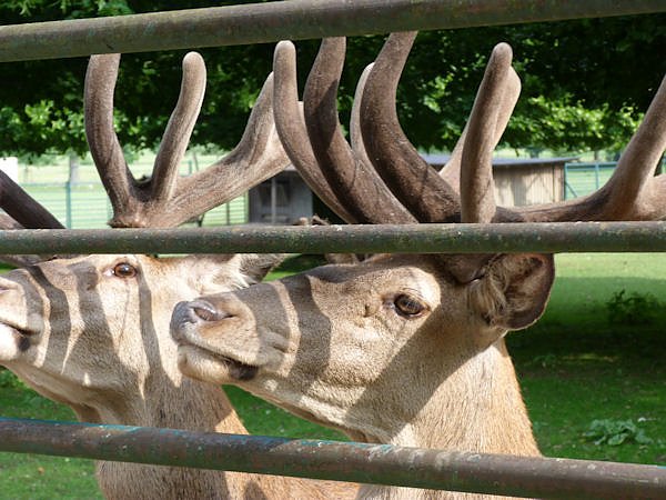 Auf dem Possen bei Sondershausen