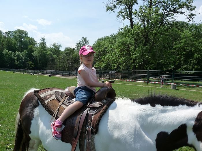 Was f&uuml;r ein Fest! 
