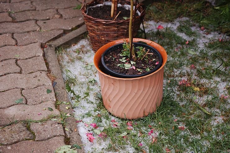 Sturm verursacht Sch&auml;den