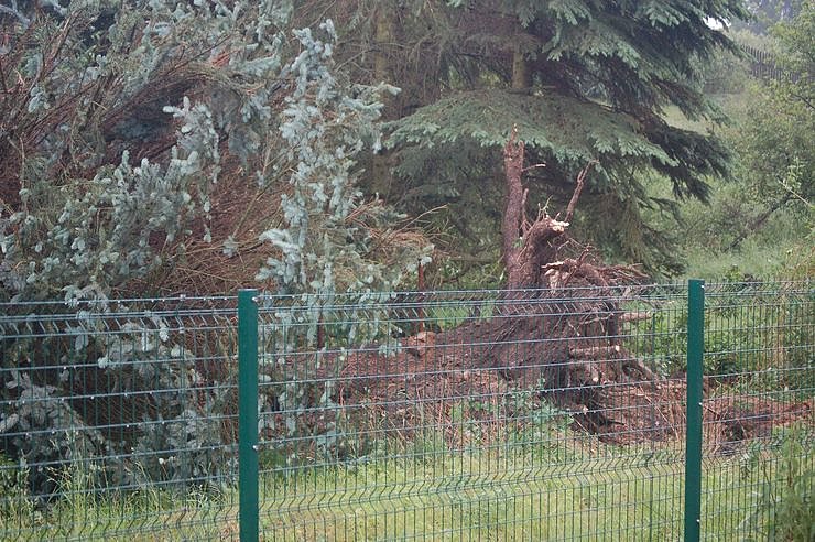 Sturm verursacht Sch&auml;den