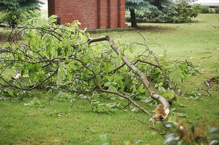 Sturm verursacht Sch&auml;den