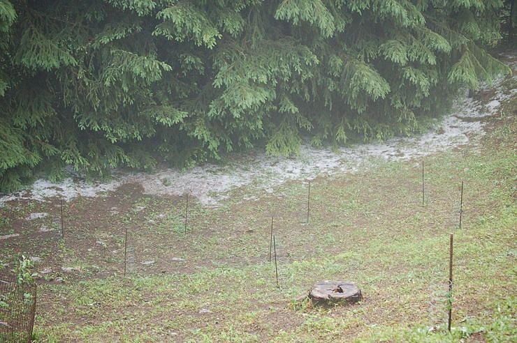 Sturm verursacht Sch&auml;den