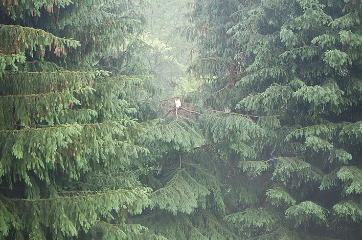 Sturm verursacht Sch&auml;den