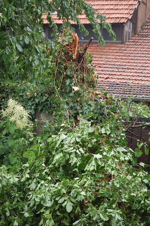 Sturm verursacht Sch&auml;den